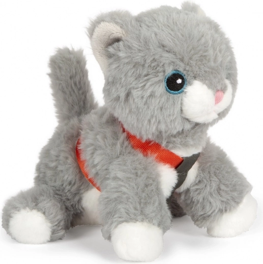 Mīlīga un maiga pūkaina kaķenīte