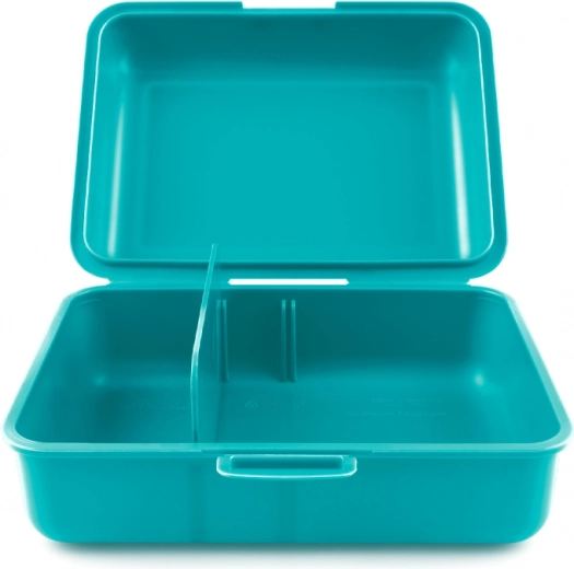 Izņemama sadalošā starpsiena