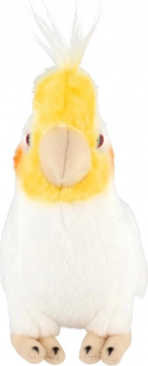 Droša no dzimšanas