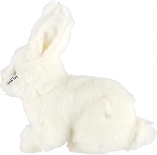 Viegls un ideāls ceļošanai