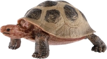 Reālistiskas detaļas