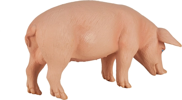 Piemērots kolekcionāriem