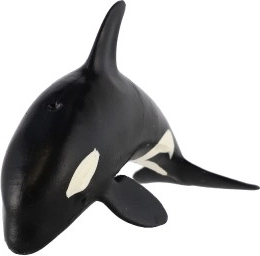 Ideāli piemērota izglītībai