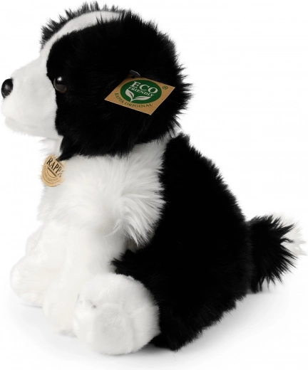 Eco‑friendly pildījums no pārstrādāta PET