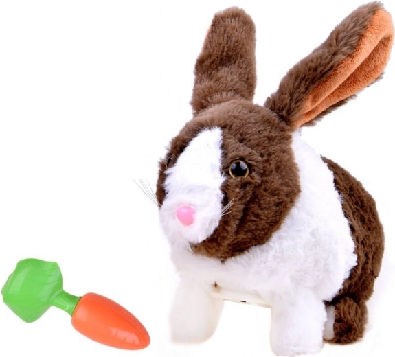 Izklaidējoša barošana ar burkānu