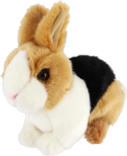 Reālistiskas detaļas un krāsu salikums