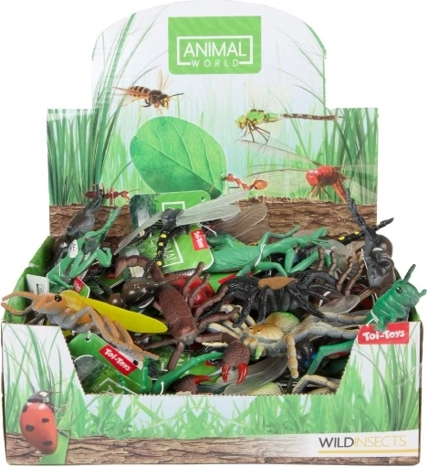 Realistic insect models for fun learning