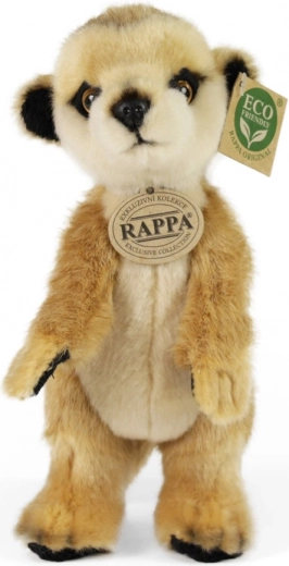 Reālistisks izpildījums un roku darbs