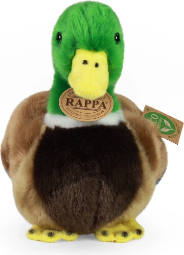 Reālistisks izskats