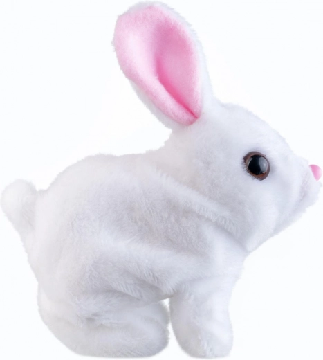 Maigs un drošs plīšs mīļošanai