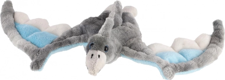 Drošs no dzimšanas