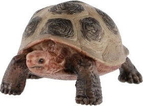 Izglītojošs un dekoratīvs pielietojums