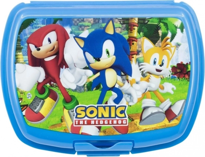 Pievilcīgs Sonic varoņu dizains