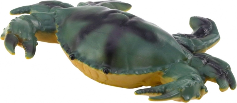 Realistiskas krāsas un dažādi jūras dzīvnieku veidi