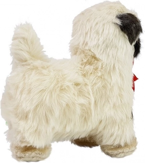 Staigā uz priekšu ar jautru melodiju