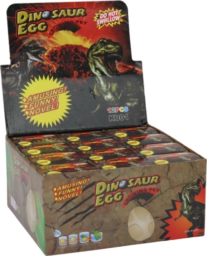 Izglītojoša pieredze