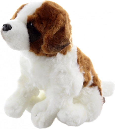 Drošs no dzimšanas un saudzīgs pret dabu