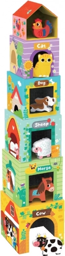 Motorikas un koordinācijas attīstība