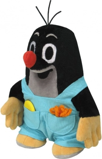 Noņemamas biksītes ar kabatu