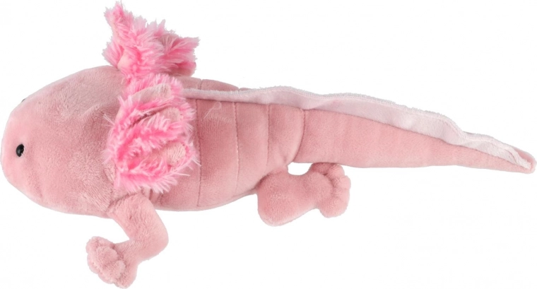 Mīlīgs dizains, ko bērni iemīlēs