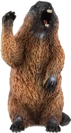 Kompakts 6 cm izmērs un izturīga plastmasa