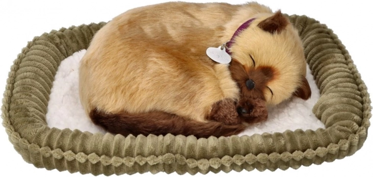 Mīksta guļvieta izstādīšanai