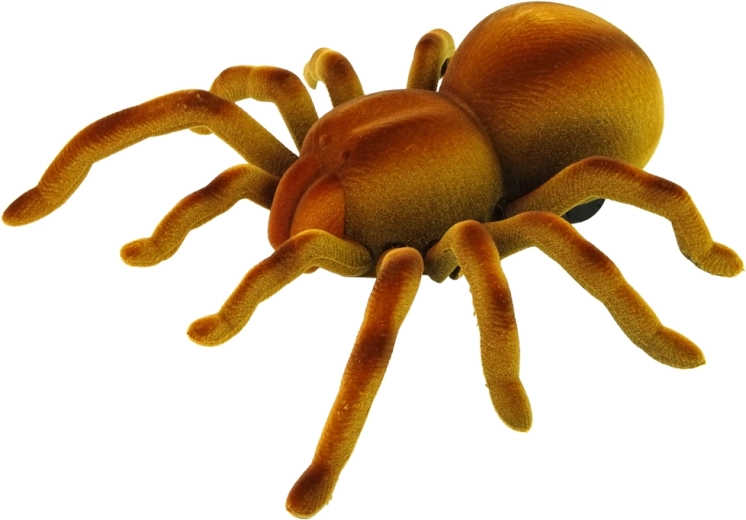 Reālistisks tarantulas izskats