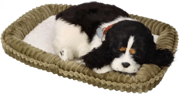 Uzticams izskats un komforts