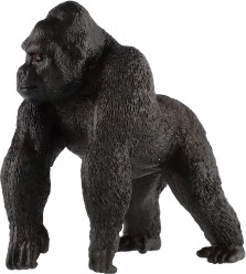 Mācīšanās caur spēli: daba rokas stiepiena attālumā