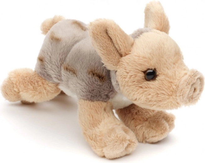 Viegls un ideāli piemērots ceļošanai