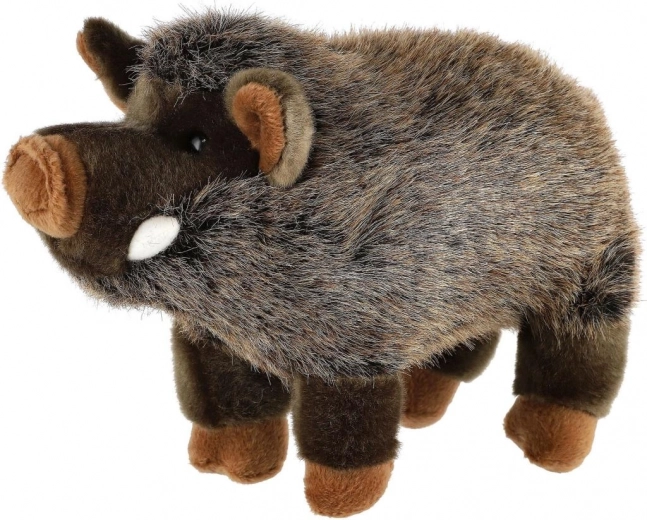 Droši no dzimšanas