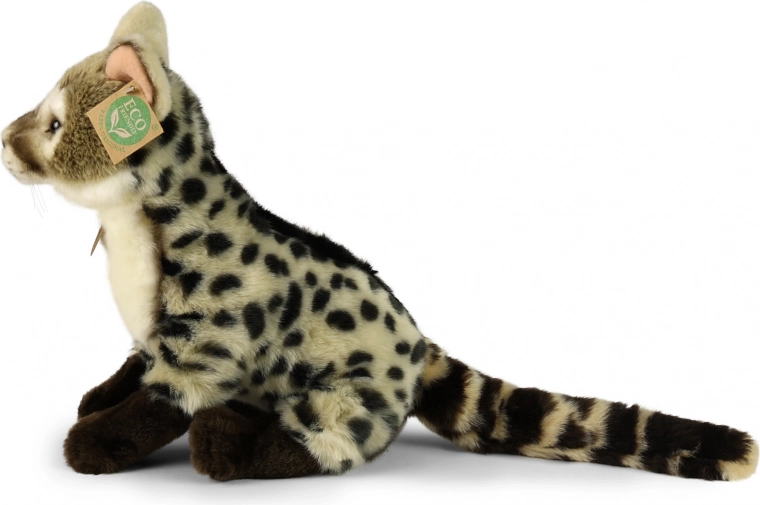 ECO‑FRIENDLY pildījums no pārstrādāta PET