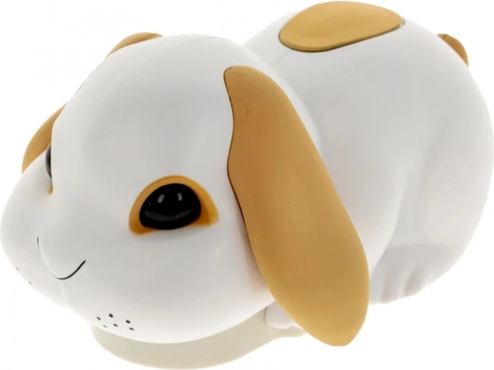 Nešpetnais trusis, kas iekustina jautrību