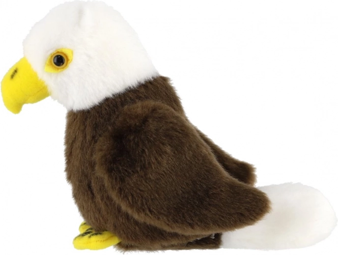 Baltgalvas ērgļa reālistiskas detaļas