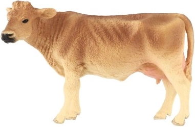 Izglītojošs nolūks