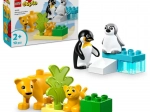 LEGO® DUPLO® 10442 Savvaļas dzīvnieku ģimenes: pingvīni un lauvas